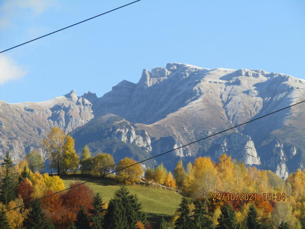 Vila Ograda De La Munte Bran  Exteriér fotografie