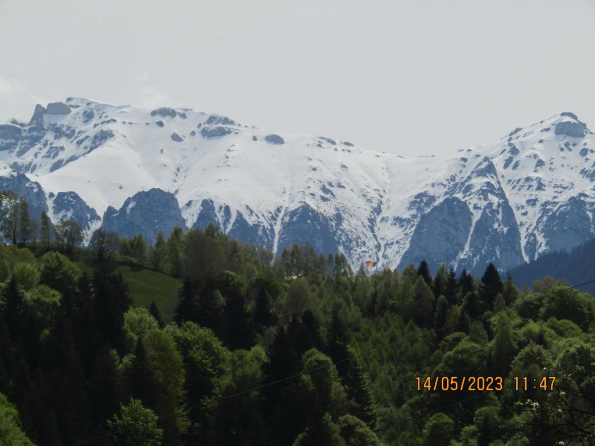 Vila Ograda De La Munte Bran  Exteriér fotografie