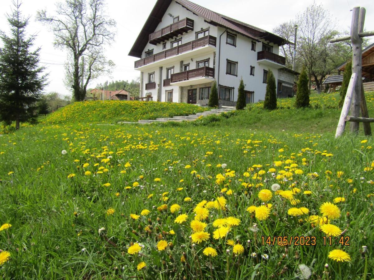 Vila Ograda De La Munte Bran  Exteriér fotografie