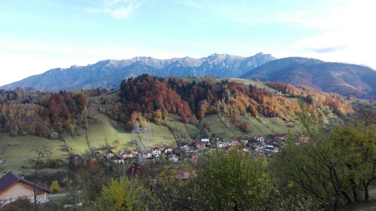 Vila Ograda De La Munte Bran  Exteriér fotografie