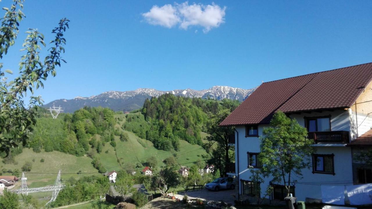 Vila Ograda De La Munte Bran  Exteriér fotografie